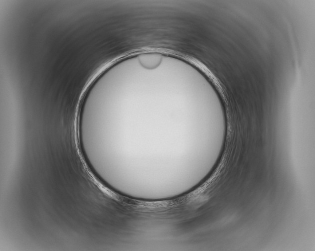 X0000113581294200909181012