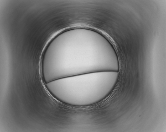 X0000113581295200909181012