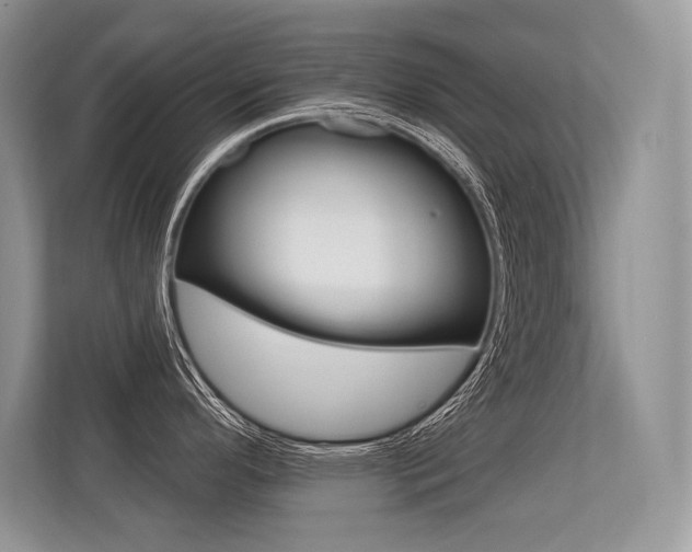 X0000113581296200909181012