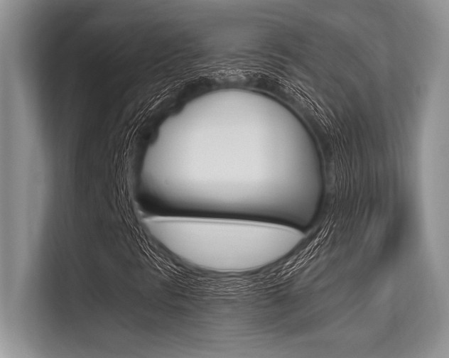 X0000113581297200909181011
