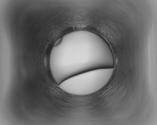 X0000113581299200909181011