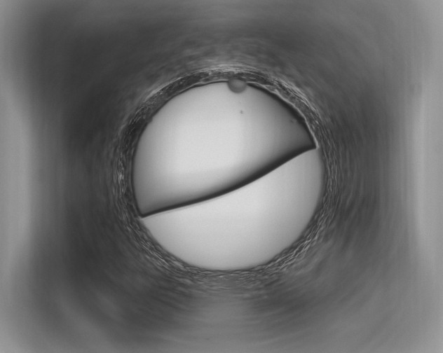 X0000113581303200909181011