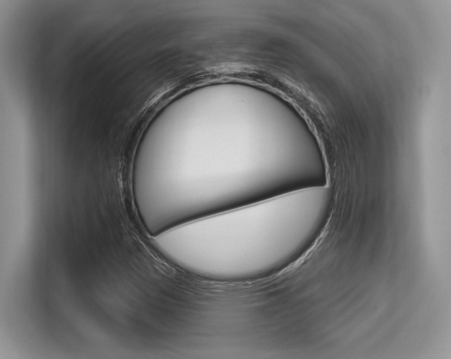 X0000113581305200909181011