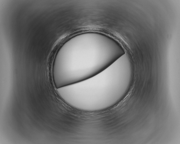 X0000113581307200909181011