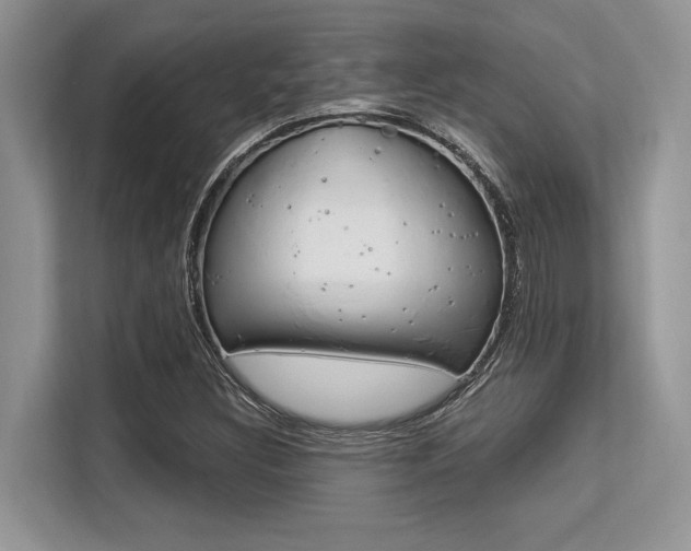 X0000113581308200909181011