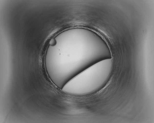 X0000113581309200909181011