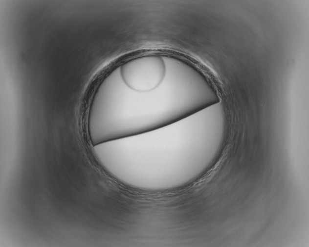 X0000113581311200909181011