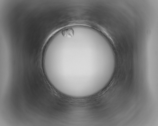 X0000113581312200909181012