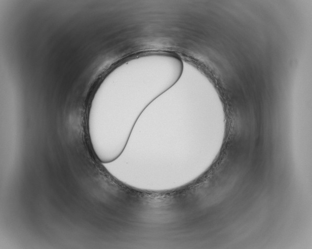 X0000113581314200909181012