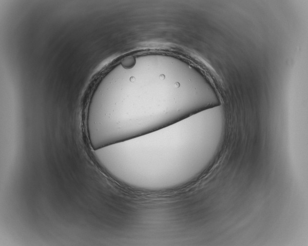 X0000113581315200909181012