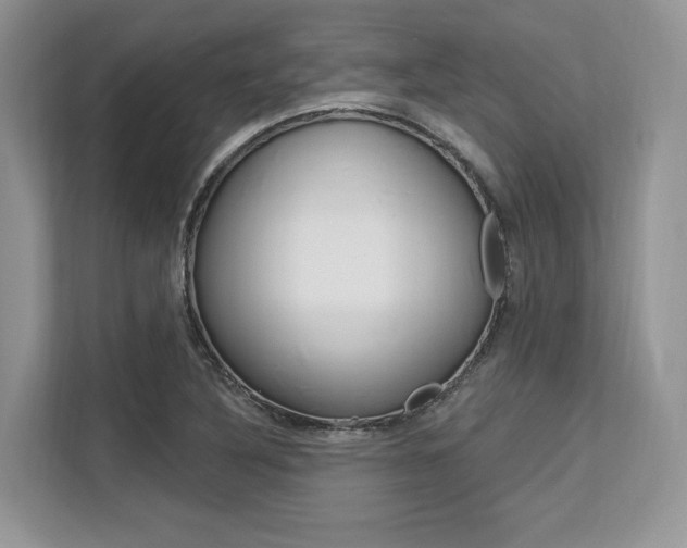 X0000113581316200909181012