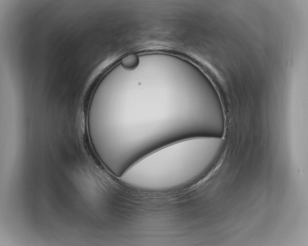 X0000113581317200909181012