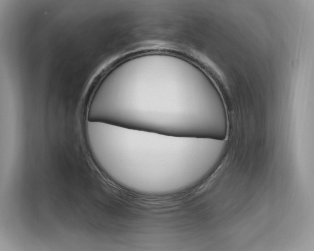 X0000113581318200909181012
