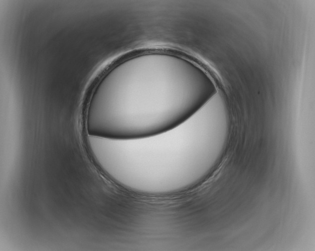 X0000113581319200909181012