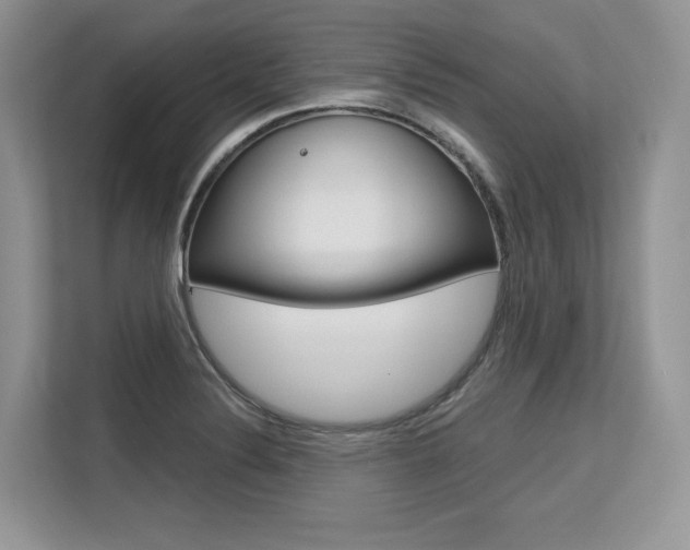 X0000113581324200909181012