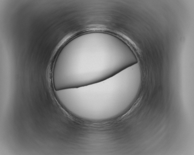 X0000113581325200909181012