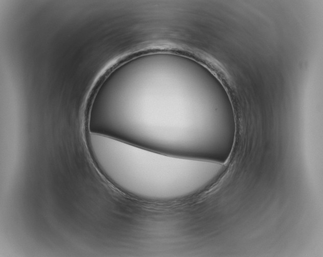 X0000113581326200909181012