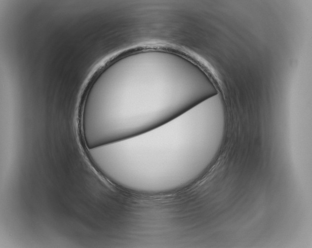 X0000113581327200909181012