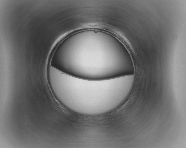X0000113581328200909181012