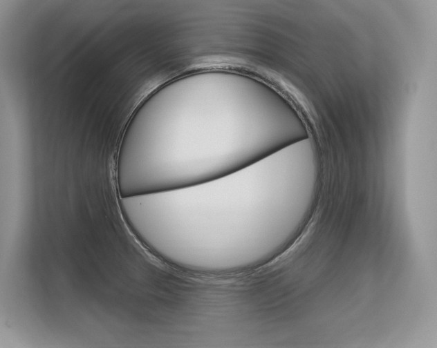 X0000113581329200909181012