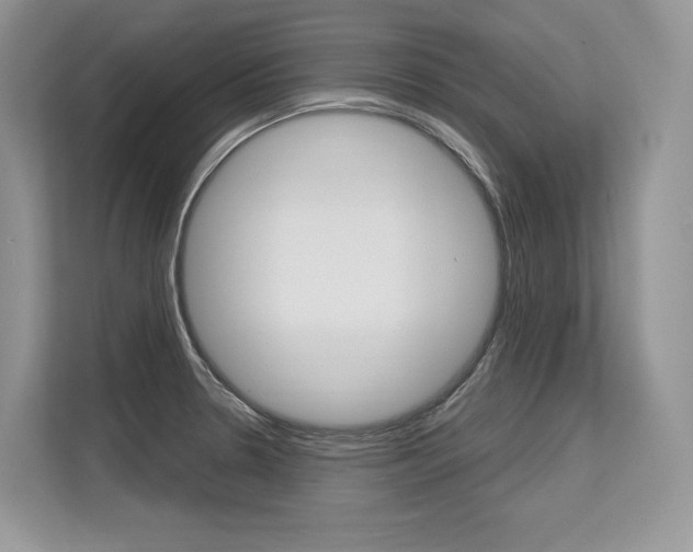 X0000113581330200909181012