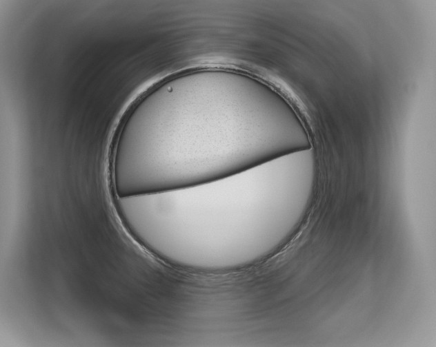 X0000113581331200909181012