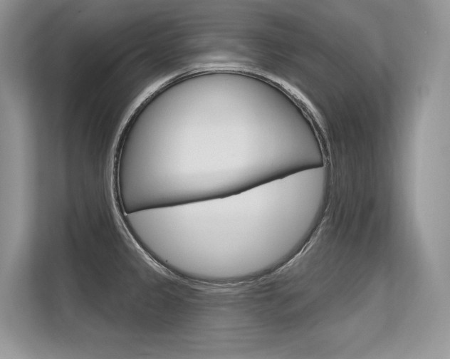 X0000113581333200909181012