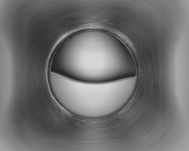 X0000113581334200909181012