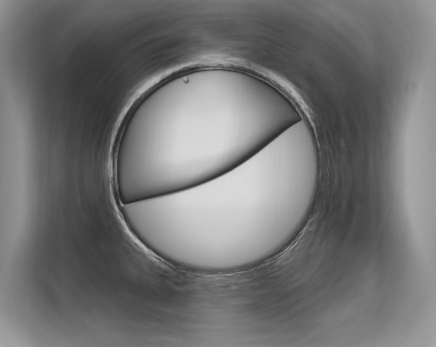 X0000113581335200909181012