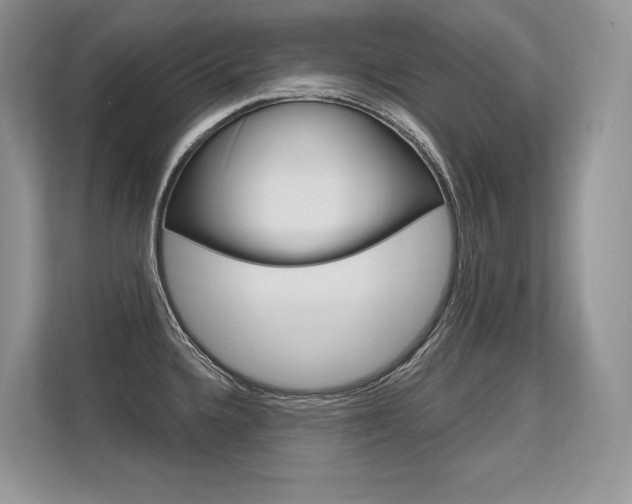 X0000113581336200909181012