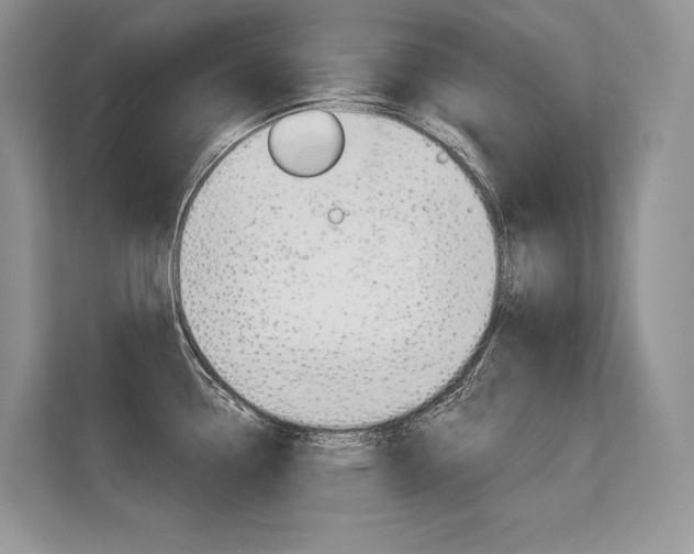 X0000113581338200909181012