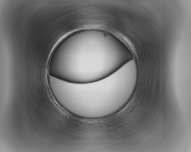X0000113581340200909181012