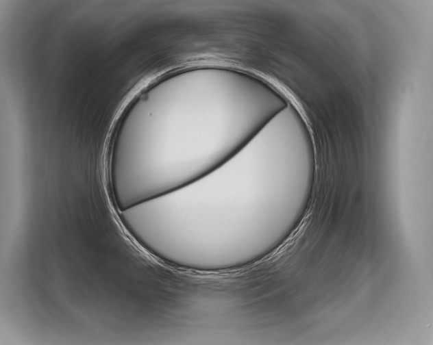 X0000113581341200909181012