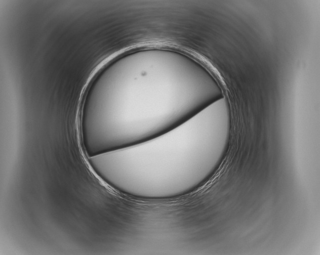 X0000113581343200909181012