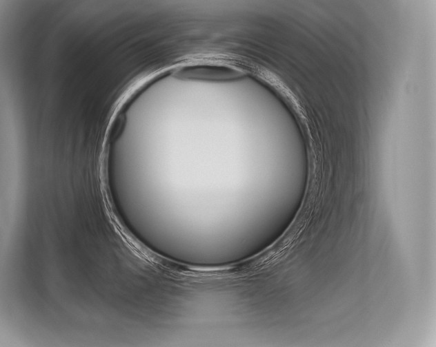 X0000113581344200909181012