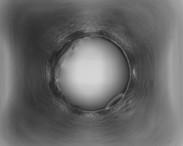 X0000113581348200909181011
