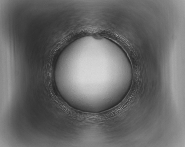 X0000113581349200909181011