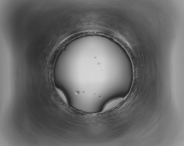 X0000113581352200909181011