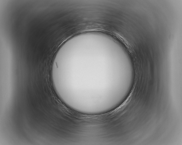 X0000113581353200909181011
