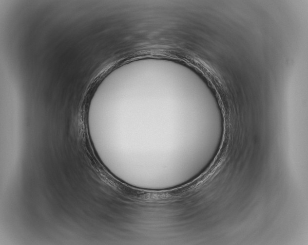 X0000113581354200909181011