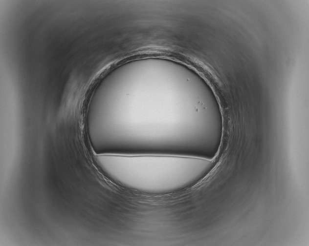 X0000113581355200909181011