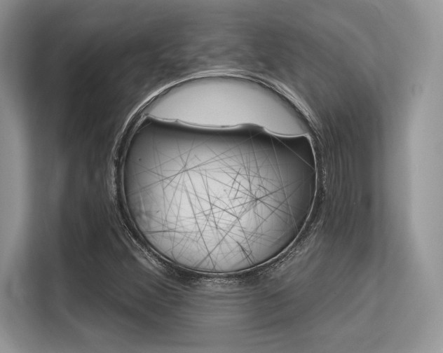 X0000113581356200909181011