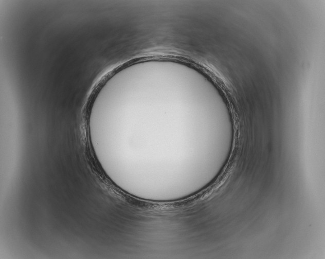 X0000113581358200909181011