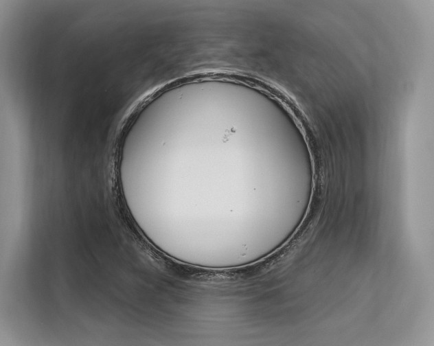 X0000113581359200909181011