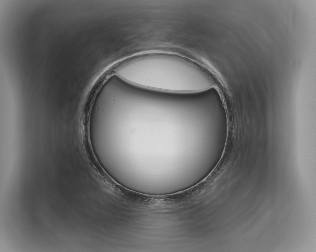 X0000113581360200909181011