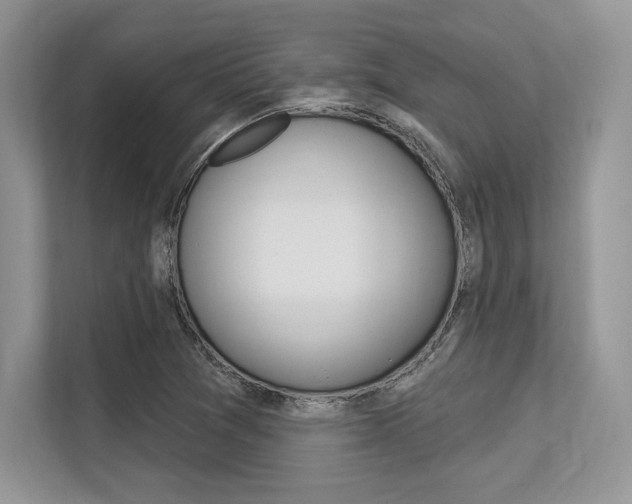 X0000113581361200909181011