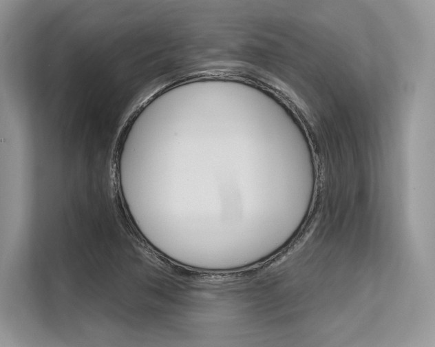 X0000113581362200909181011
