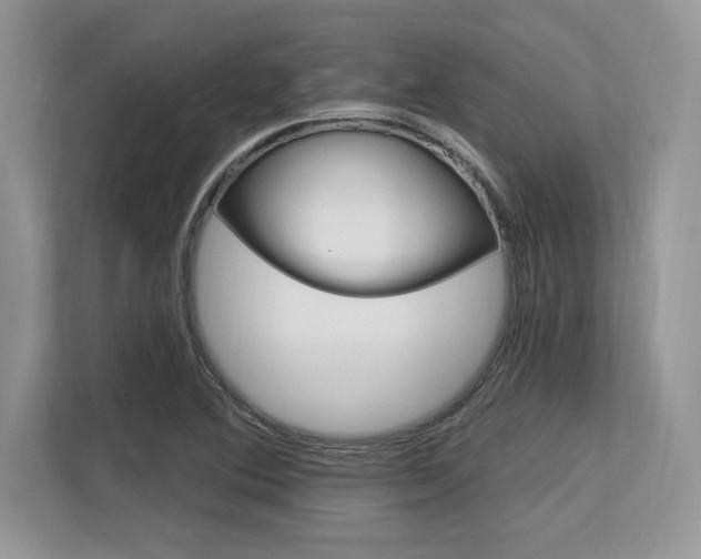 X0000113581364200909181011