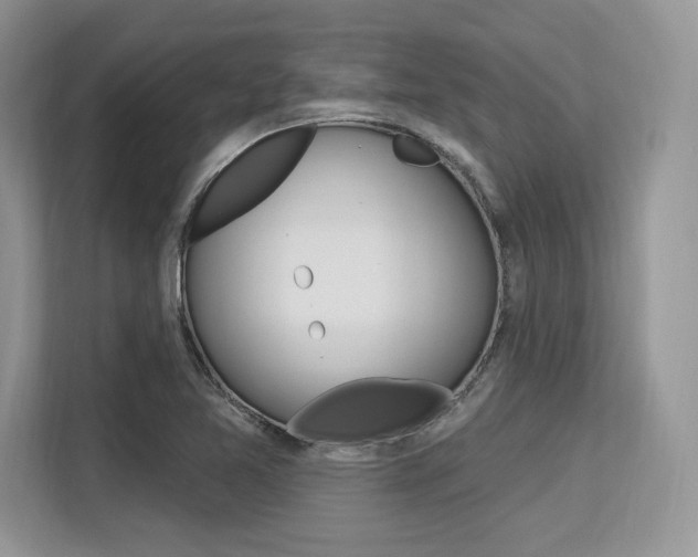 X0000113581365200909181011