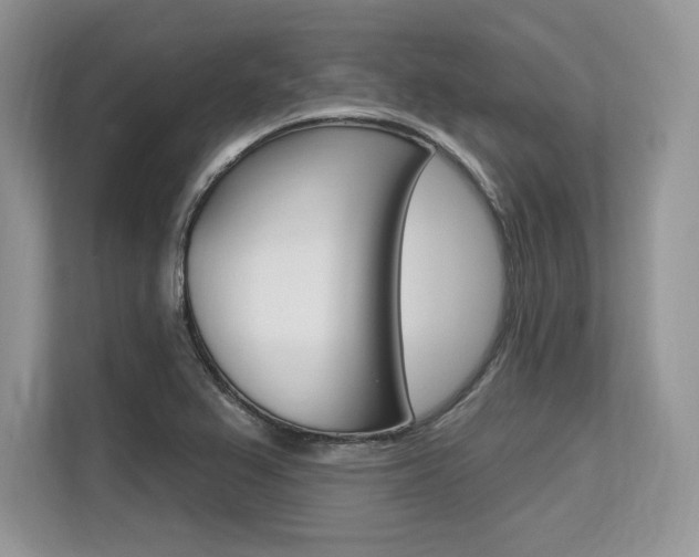 X0000113581367200909181011